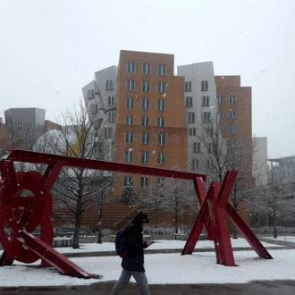 <span class="emoji emoji2744"></span> Snowing on April 2nd. Let's hope spring springs soon!<br/><br/>Photo: Emer Garland/MIT<br/><br/> <a target="_blank" href="https://www.instagram.com/explore/tags/AroundMIT">#AroundMIT</a>  <a target="_blank" href="https://www.instagram.com/explore/tags/mit">#mit</a>  <a target="_blank" href="https://www.instagram.com/explore/tags/readyforspring">#readyforspring</a>   <a target="_blank" href="https://www.instagram.com/explore/tags/massachusettsinstituteoftechnology">#massachusettsinstituteoftechnology</a>  <a target="_blank" href="https://www.instagram.com/explore/tags/stopandlookup">#stopandlookup</a>  <a target="_blank" href="https://www.instagram.com/explore/tags/cambridgema">#cambridgema</a>